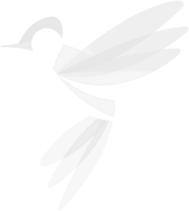 Technocure digital solutions tcure.ca w