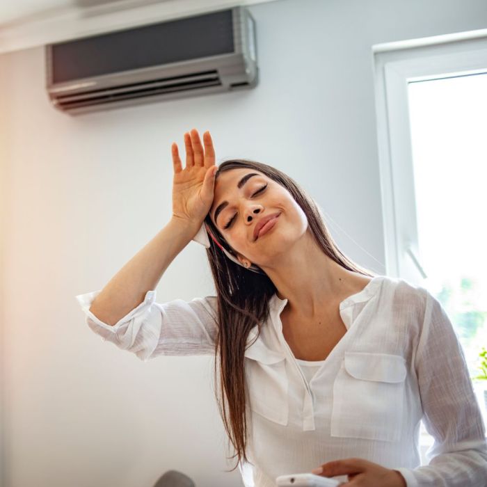 Heating and Cooling Habitec 2025