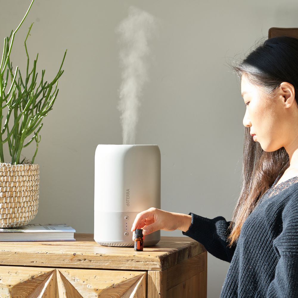 o-i-need-a-dehumidifier-or-a-humidifier-understanding-the-difference